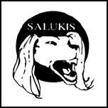 Southern Illinois logo