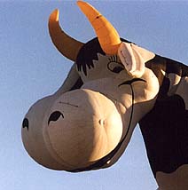 Creamland Dairy cow balloon