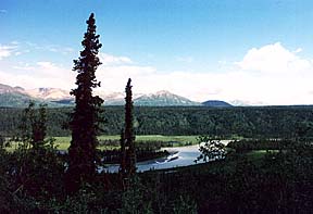 Denali highway photo