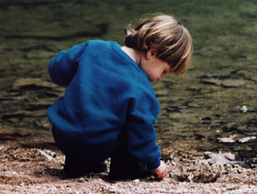 TomTom at Hamilton Pool